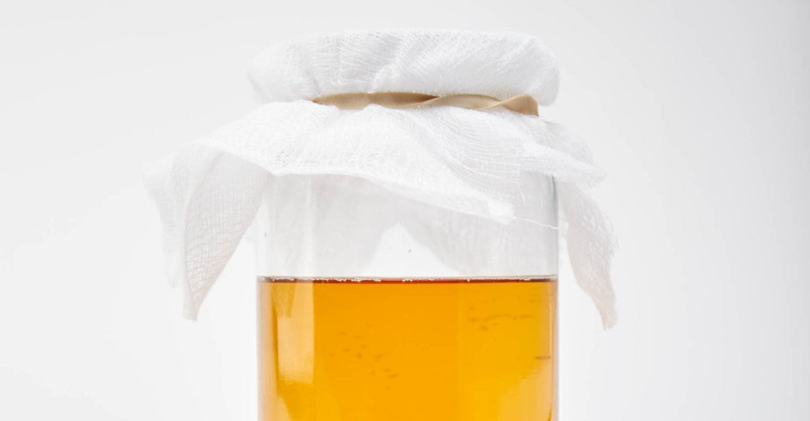 Under the Microscope: Brewing a Sense of Place with Wild Yeast