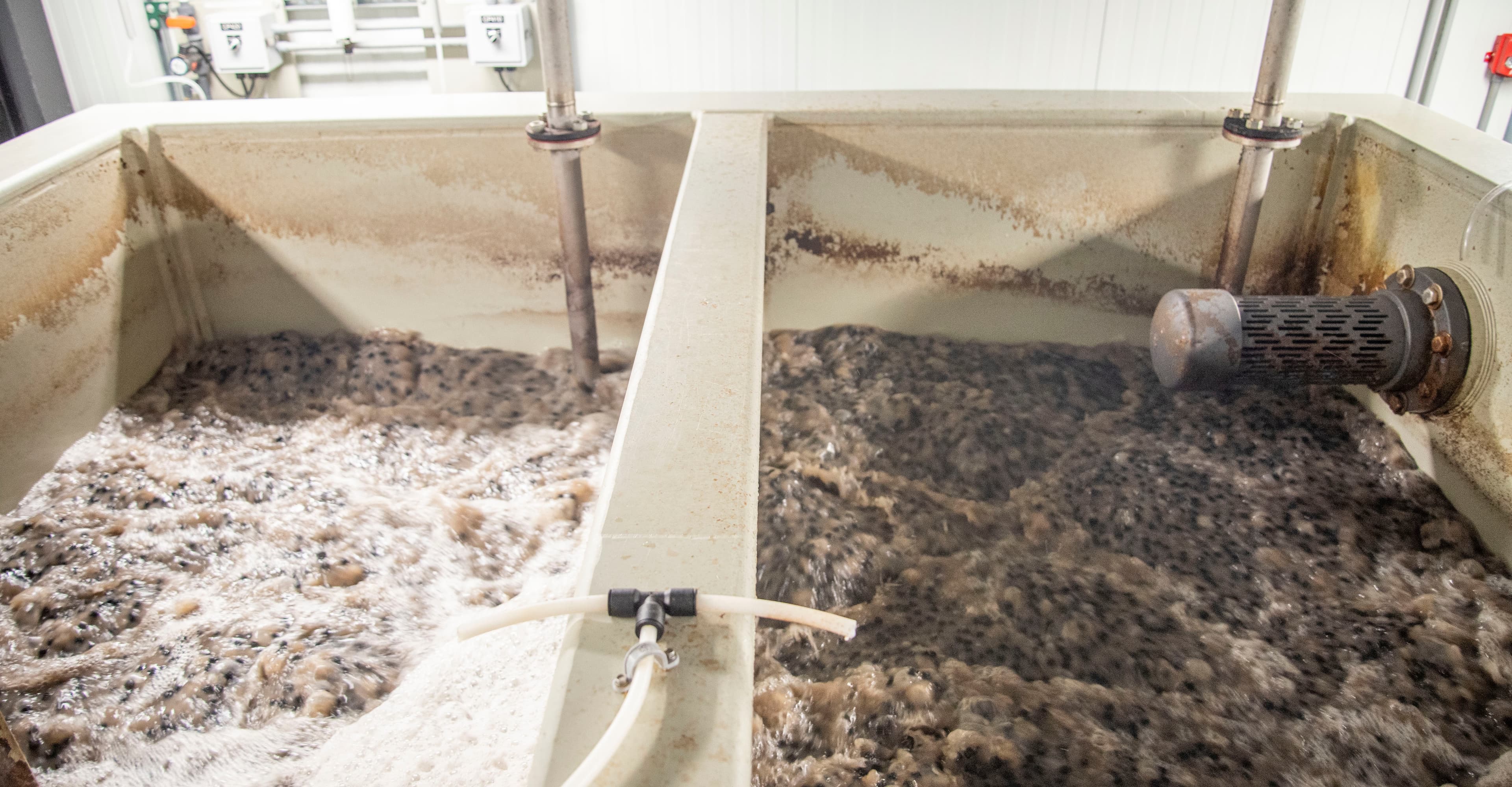 Closing the Loop on Beer’s Biggest Ingredient: Water