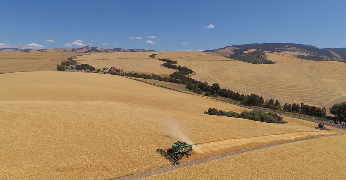 Get Ahead of the Season Ahead: Tight Barley Supply in 2022