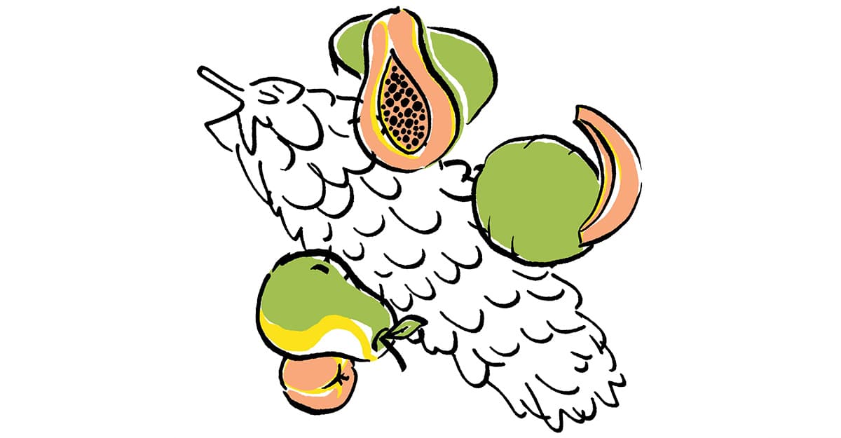 Ready to Tango? New Hop Varieties on the Way