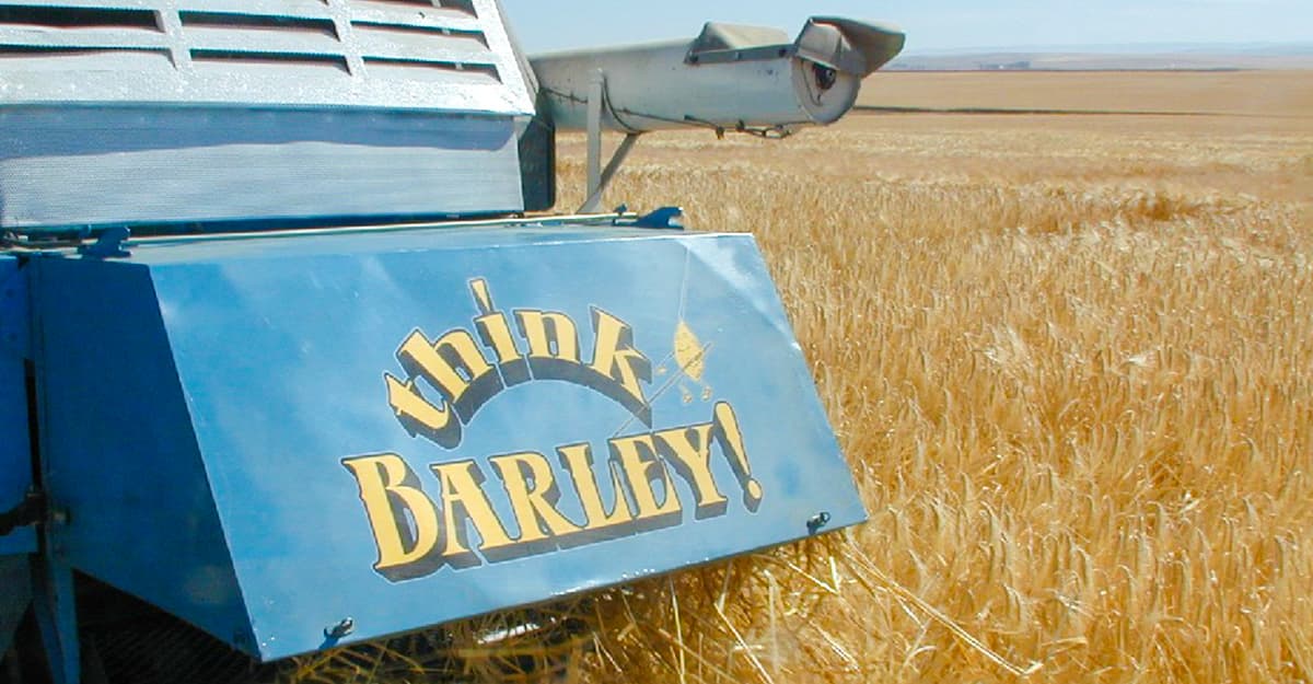 Malt Protein: A Collab with Farmers, Maltsters, and Mother Nature