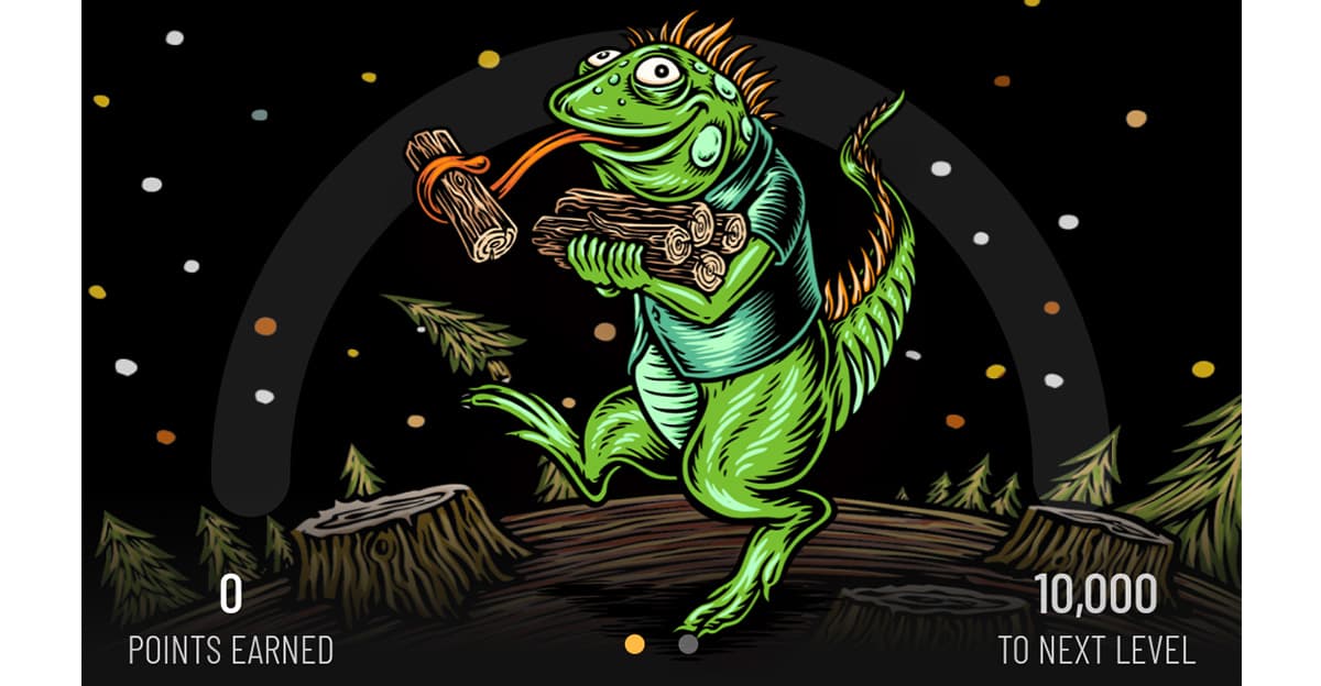 Subscriptions, Perks, and Play: Strategies to Drive Recurring DTC Orders