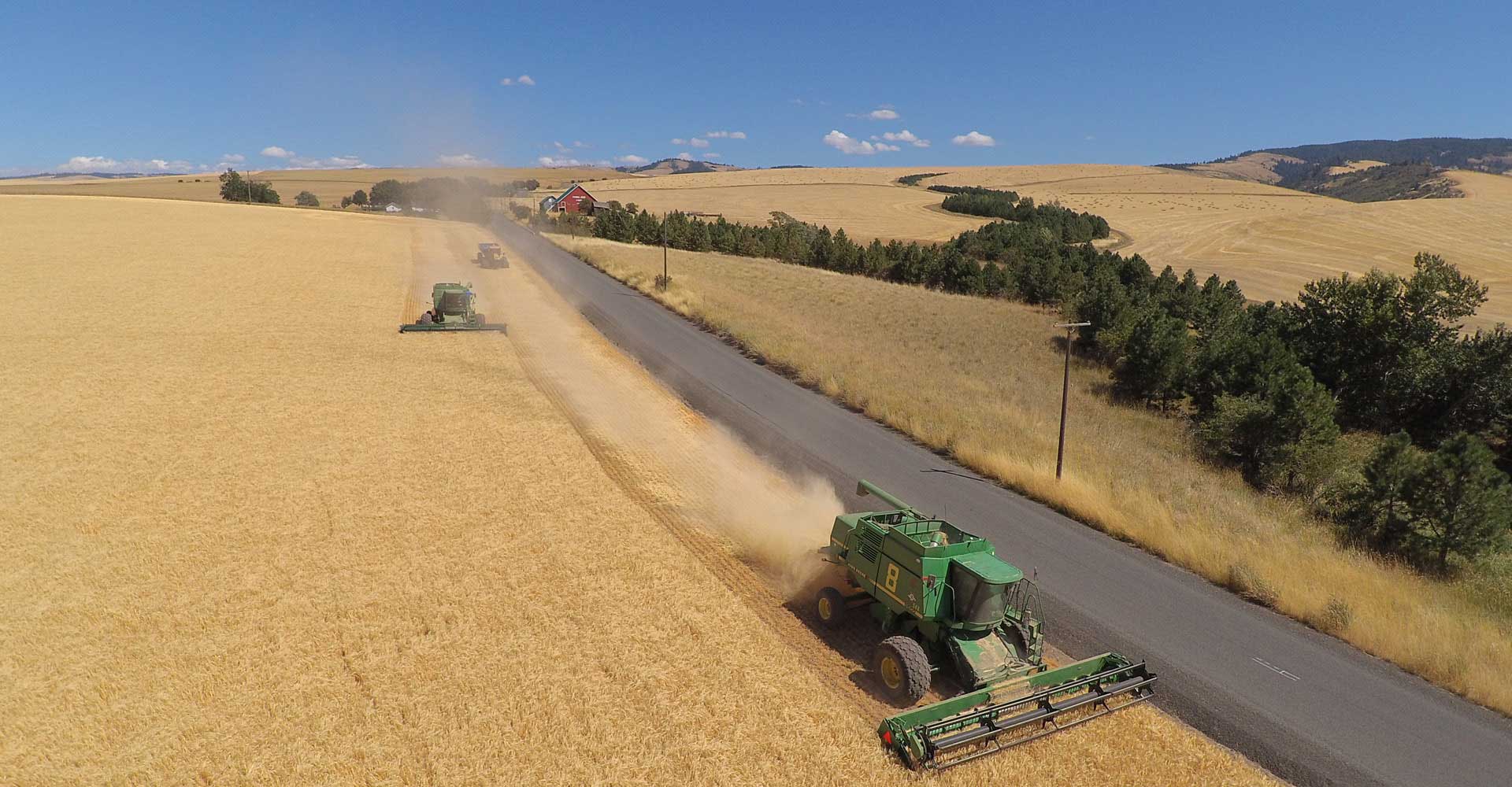 The Climate Crisis is Coming for the Barley Crop