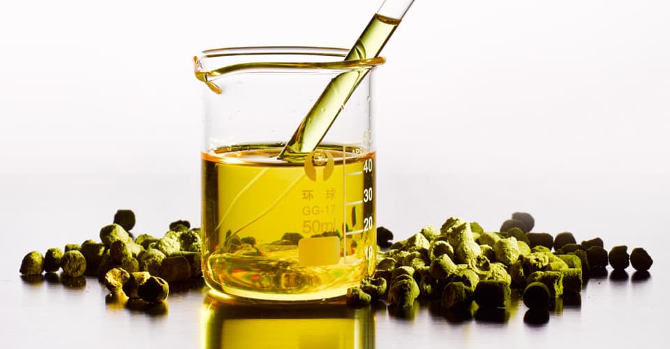 Hops Insider: Keeping Up with the New Hop Products