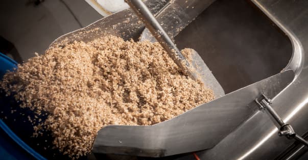 Do Spent Grains Represent a Hidden Revenue Stream?