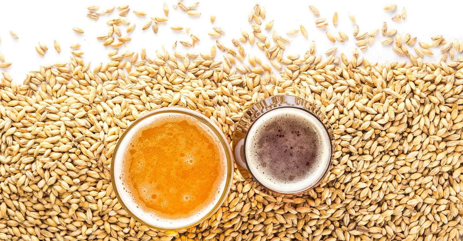 Malt Handling: Avoid Common Sizing Mistakes