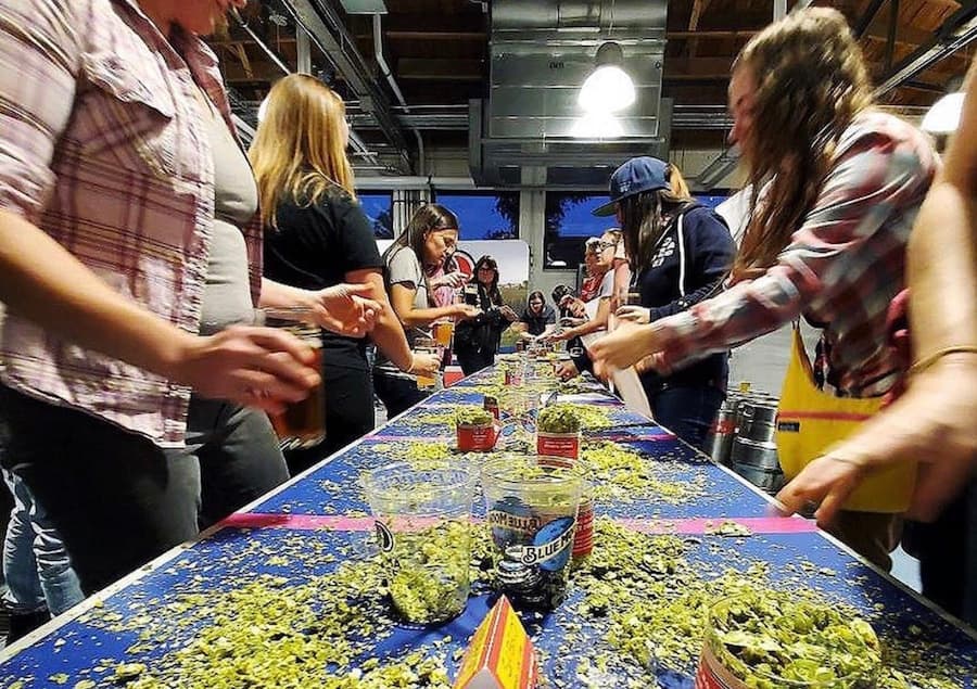 Pre-Orders Open for Pink Boots Special 2020 Hops Blend