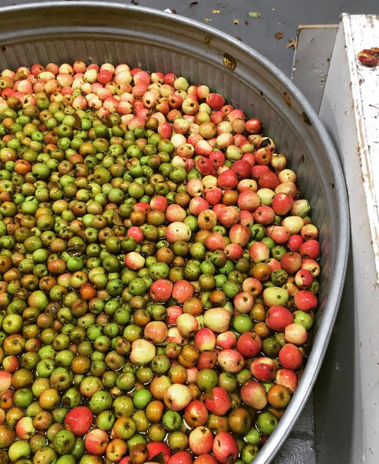 Portland Cider Co. Invites Portland-Area Residents to Recycle Unwanted Apples for Community Cider