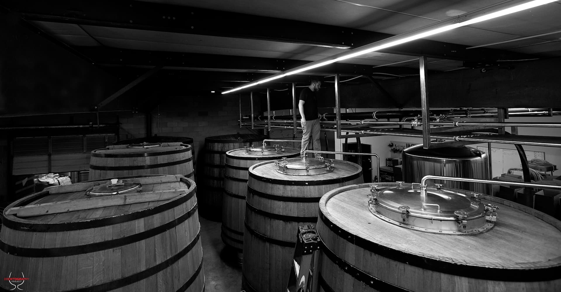 Case Study: Crooked Stave Artisan Beer Project