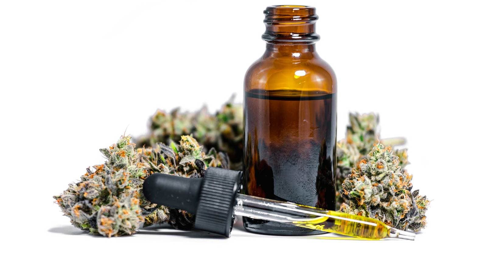 Next Trends: Beer Predictions from a Flavor Scientist