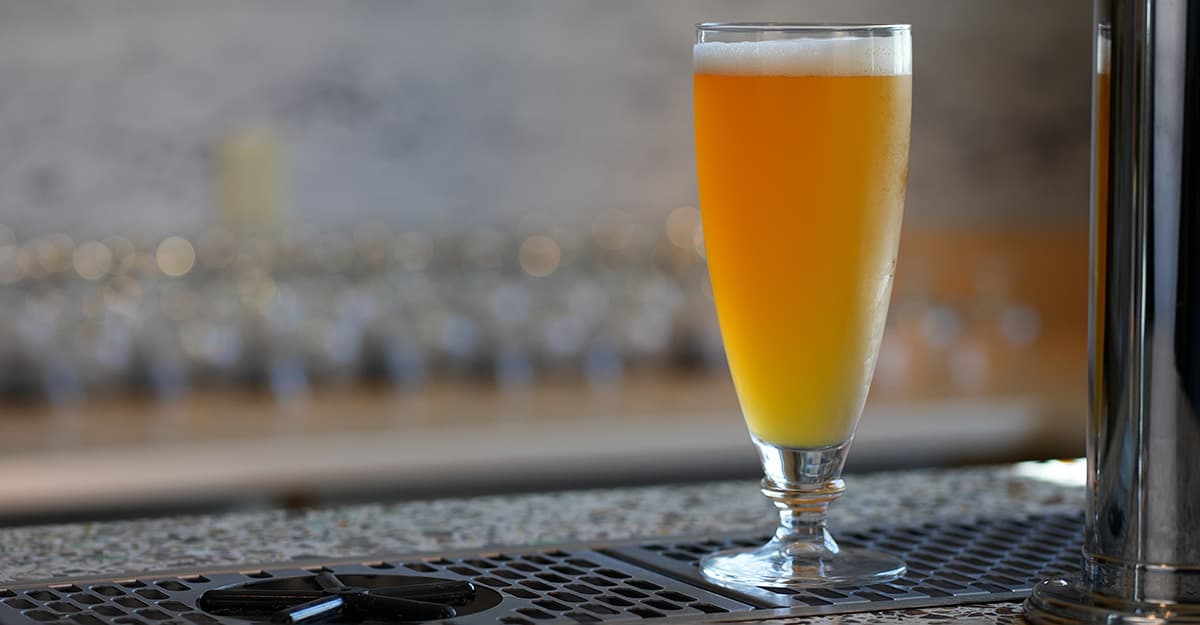 Are Soluble Hop Products Set to Disrupt Craft Brewing?