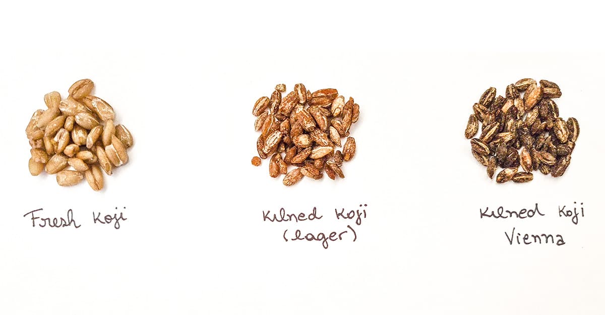 Malt Insider: Mining the Might of a Magical Mold