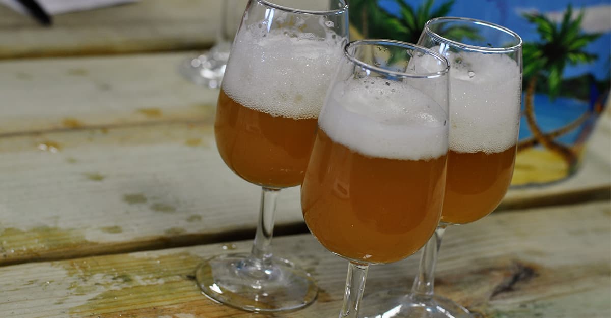 Brewing Quality: How to Start Up Your Sensory Panel