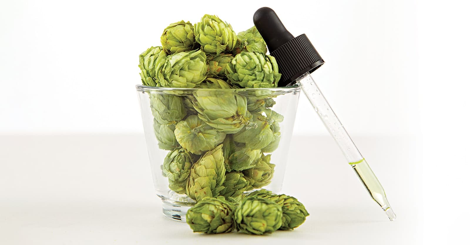 Advancing Our Knowhow on Advanced Hop Products