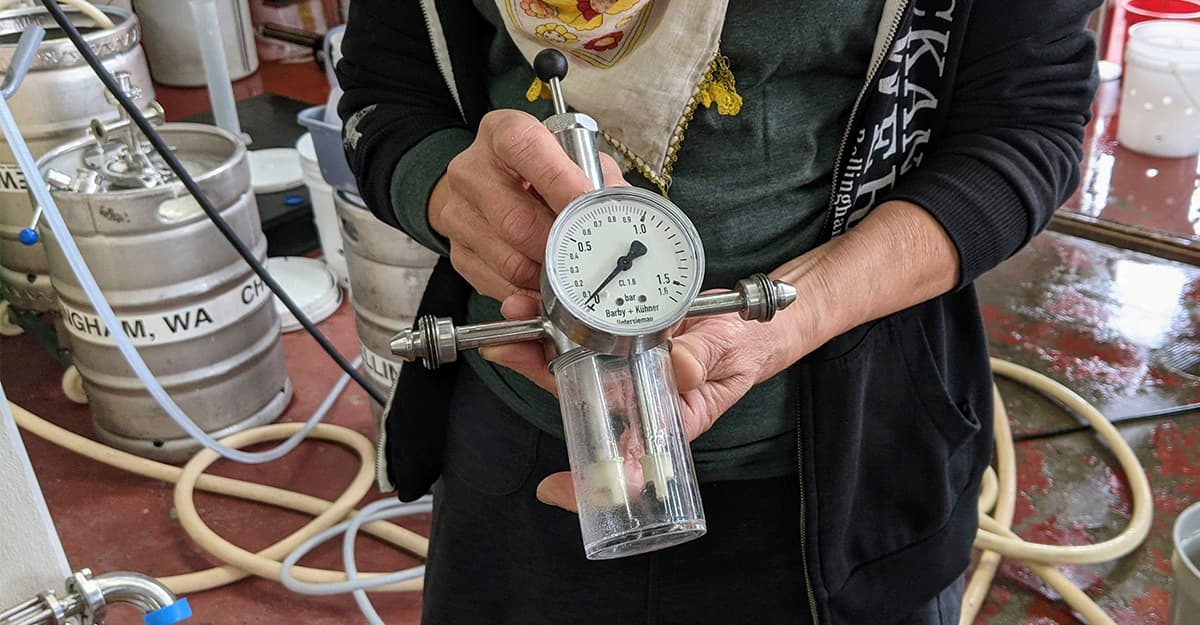 Under the Microscope: Fermentation Under Pressure