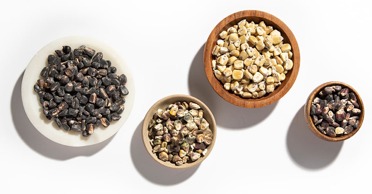 Brewing with Malted Corn? We’re All Ears!