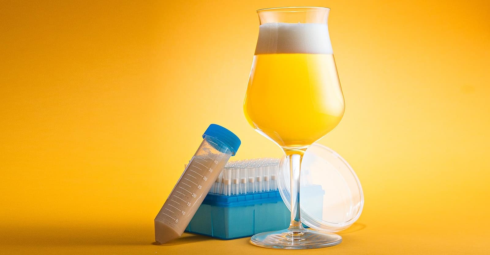 Under the Microscope: 9 Fermentation Myths, Debunked