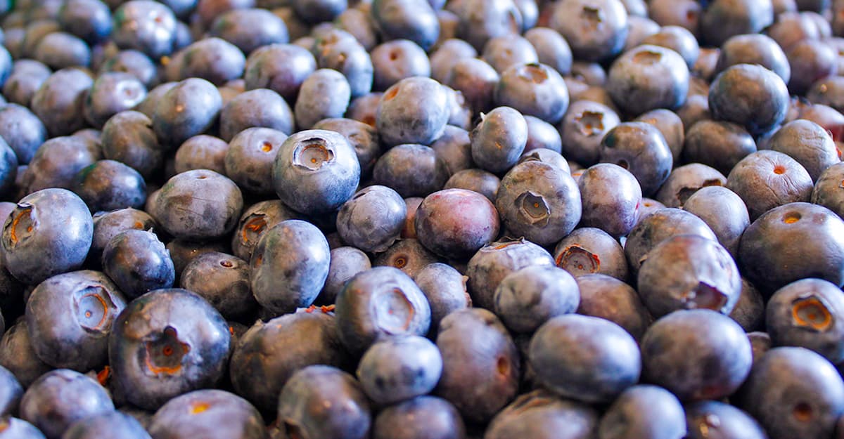 Fruit in the Forecast: The Challenge (and Upside) of Planning Ahead