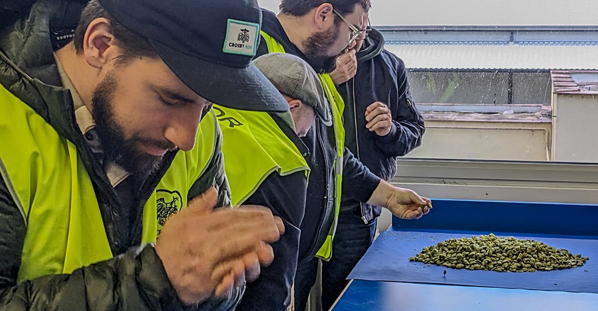 Stop and Smell the Hops ... Before You Use Them