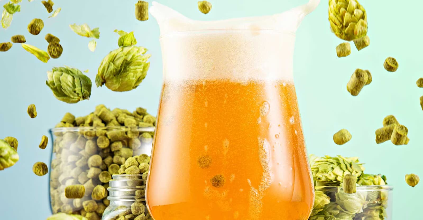 Putting Mid-Fermentation Dry Hops to the Test