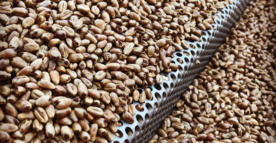 Taking Advantage of Custom Malt
