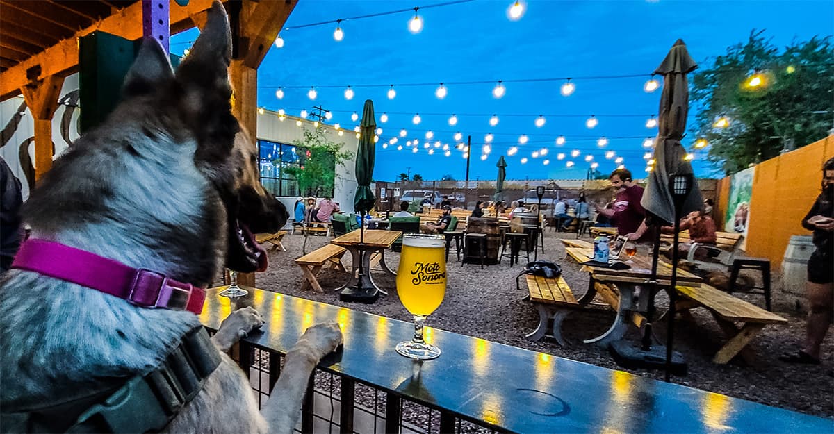 Riding the Rollercoaster of Seasonal Demand