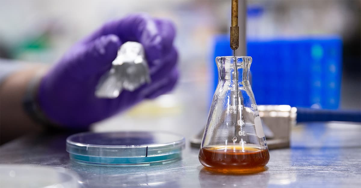Under the Microscope: These Yeast Strains Are Powerlifters Now