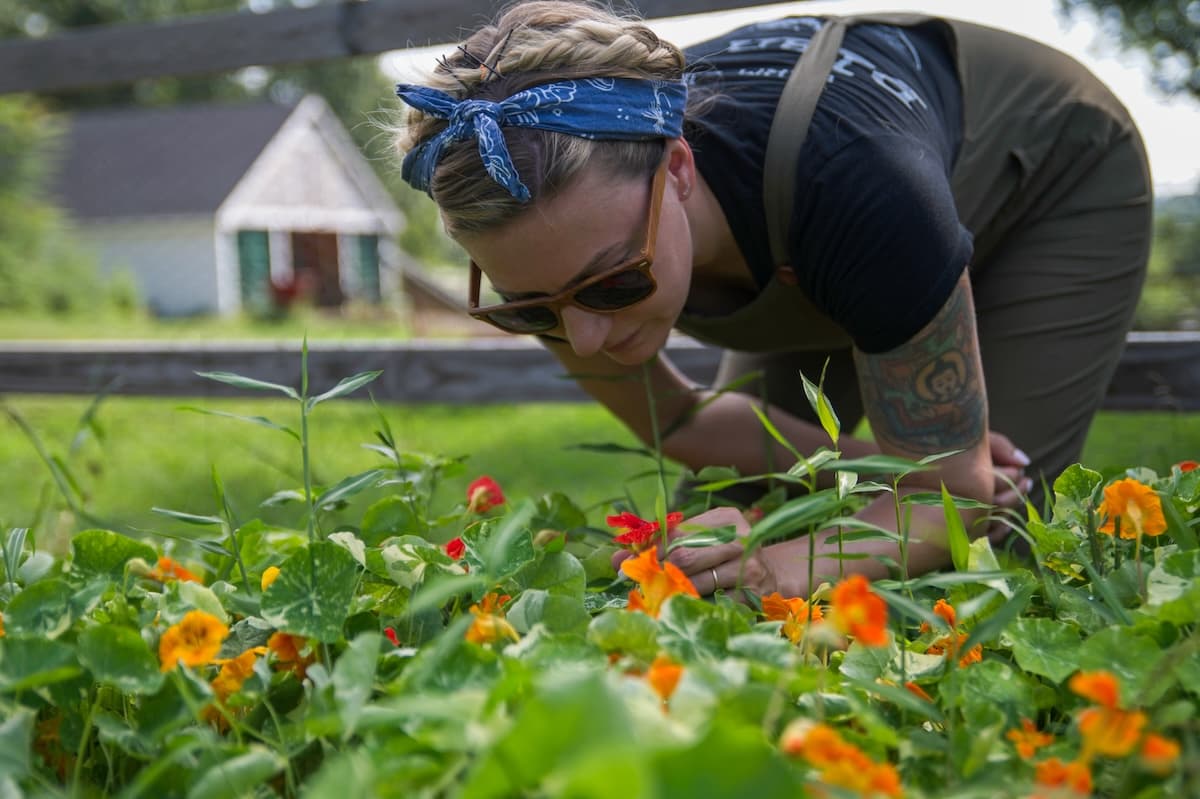 Ingredient Spotlight: Brewing with Botanicals