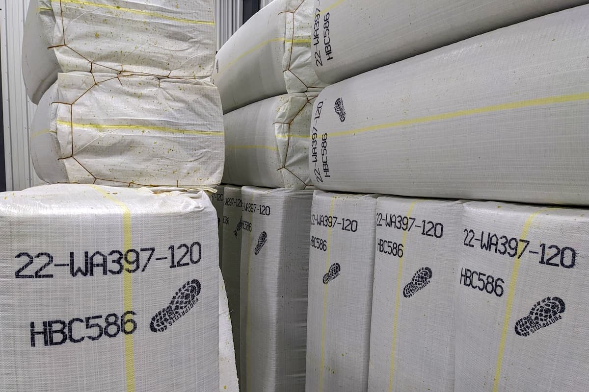 Hops Insider, Q&A Edition: What Should Brewers Be Asking Suppliers?