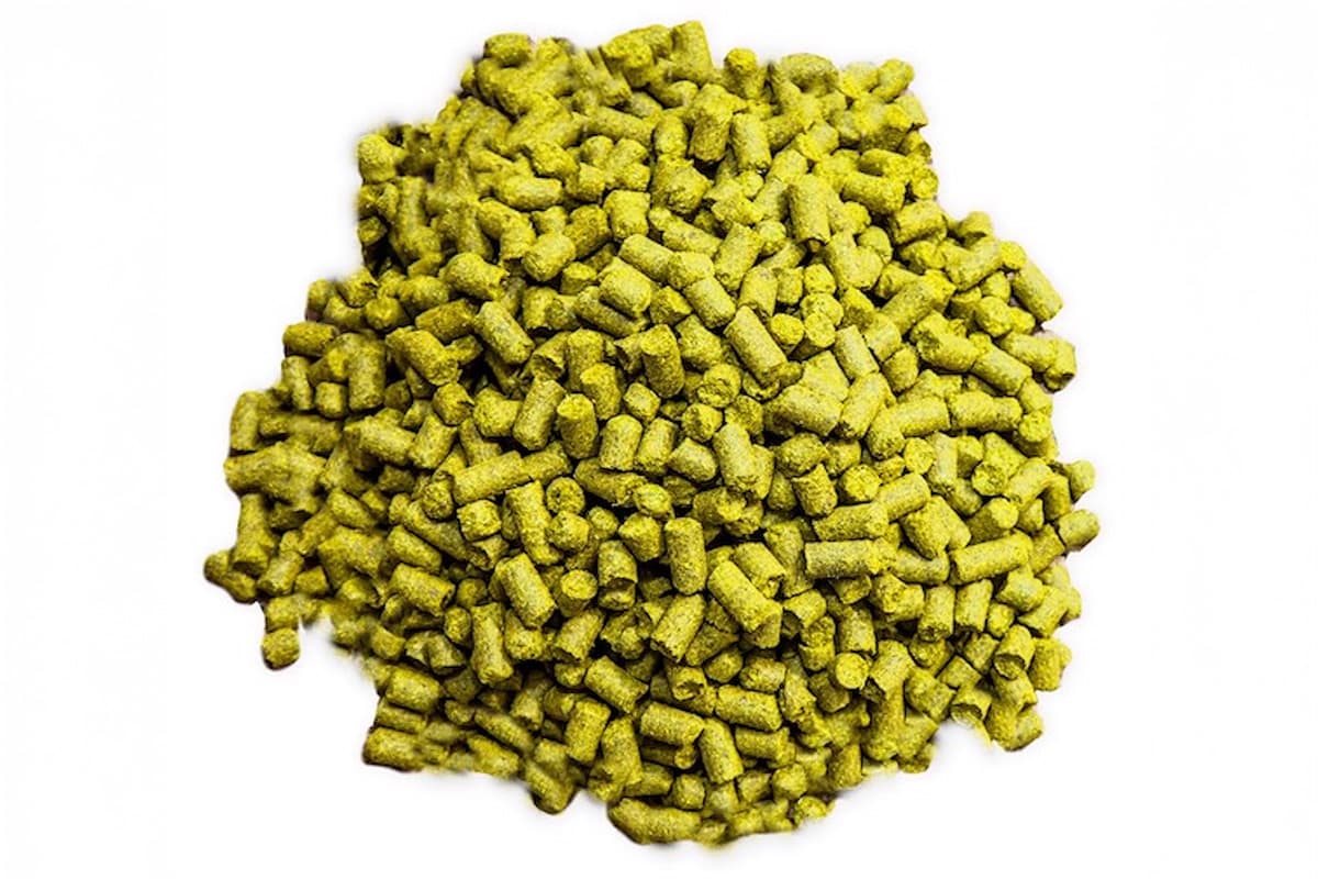 Hops Insider: Too Many Hops, Too Little Visibility