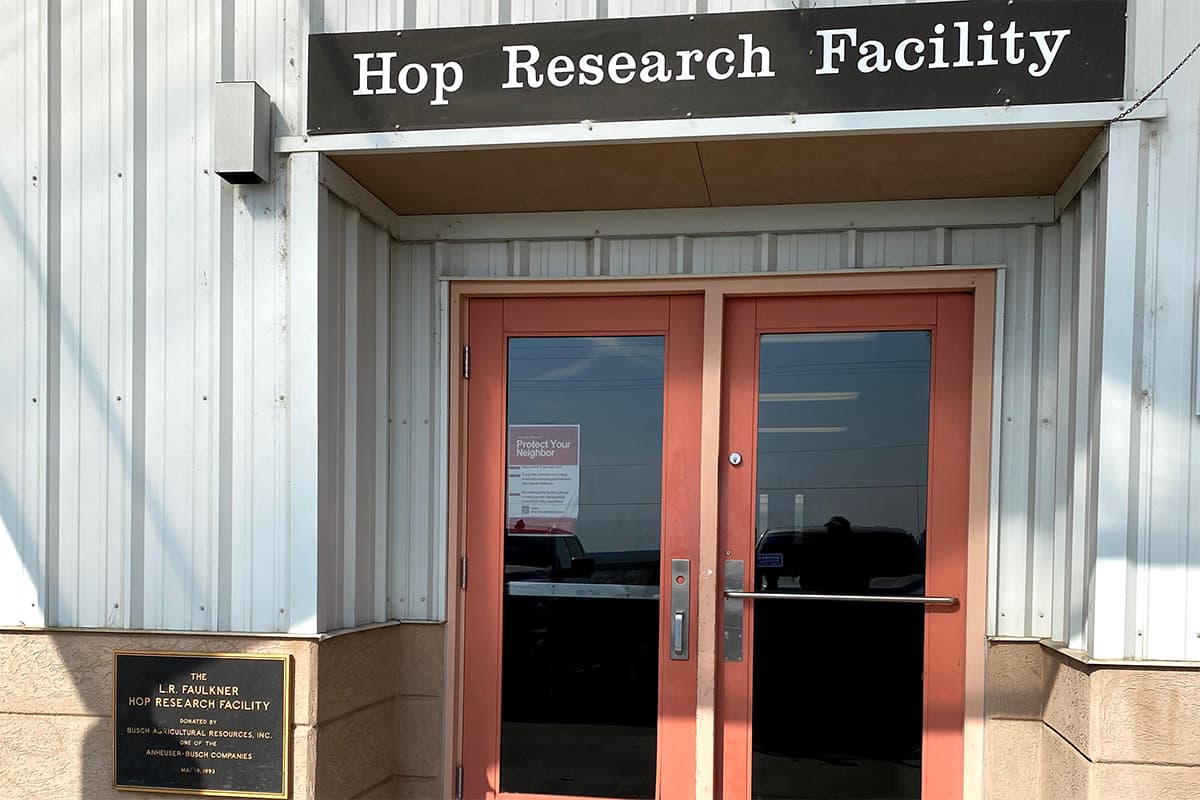 Hops Insider: Federal Cuts Hit Hop Research
