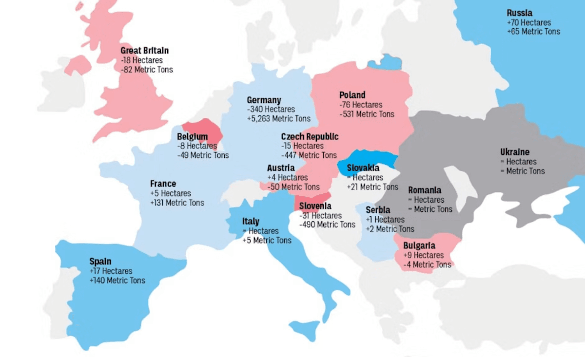 Infographic: Global Hop Shifts