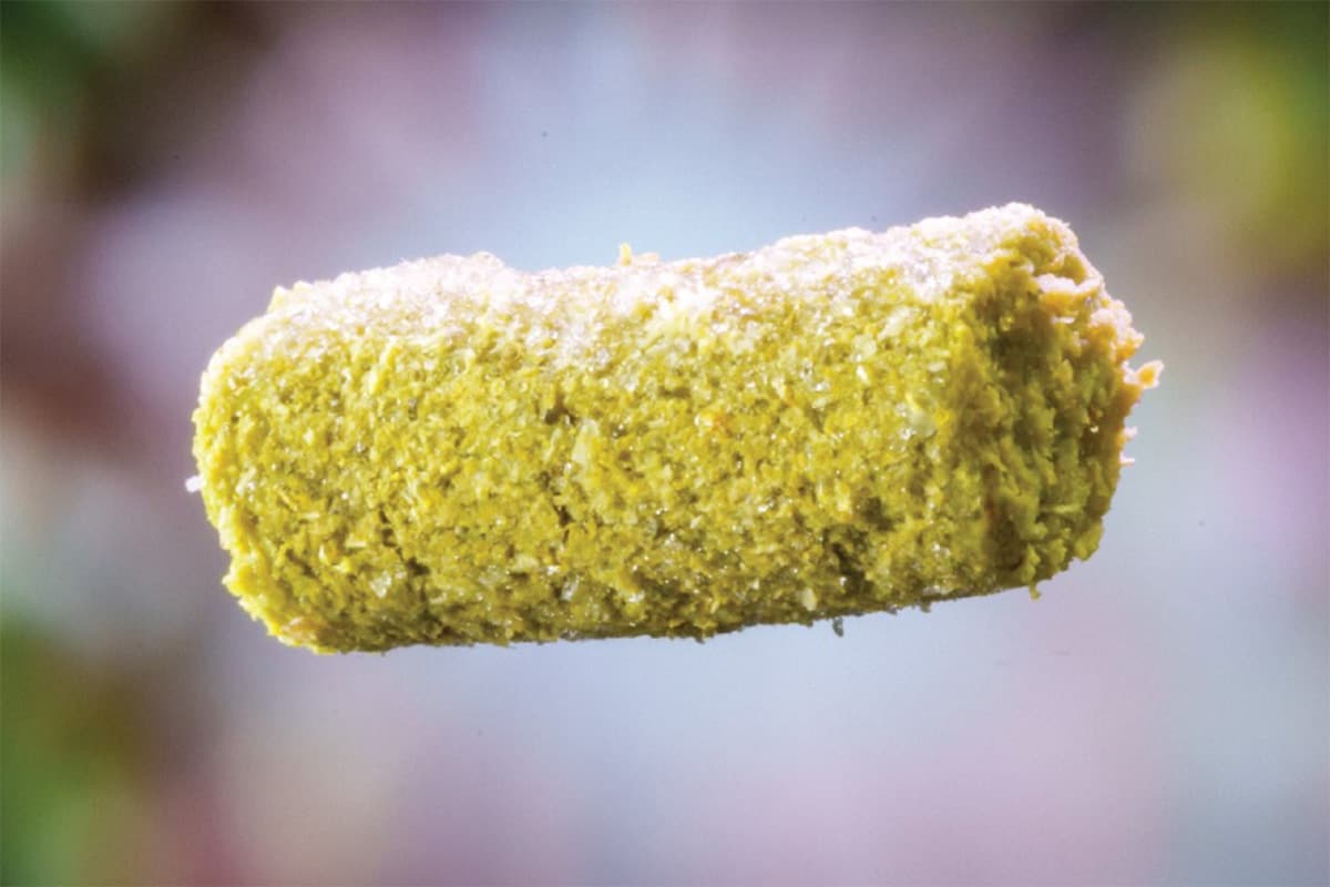 Hops Insider: Wet, Fresh, Worldwide, Anytime