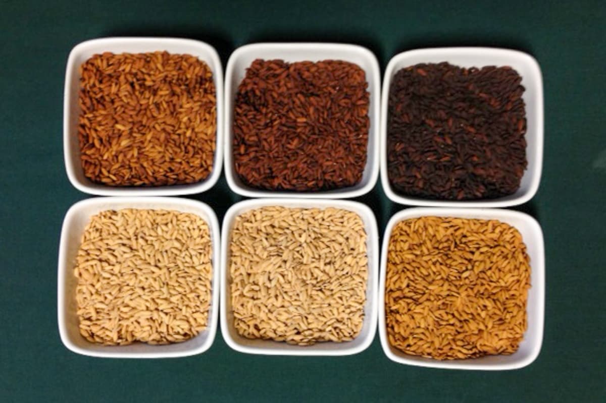 Maltster’s Perspective: Jim Eckert, Rice Malt Pioneer