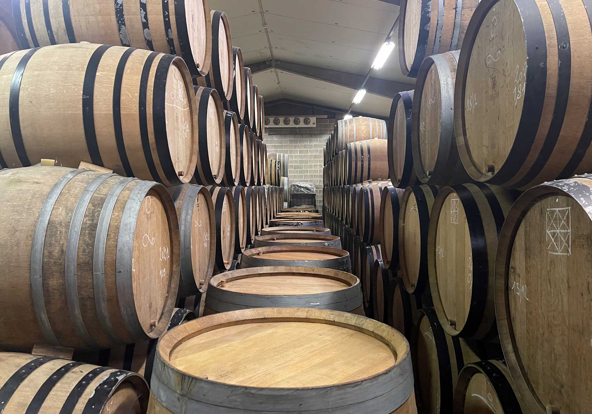 Quality Control: The Basics on Those Bugs in the Barrel