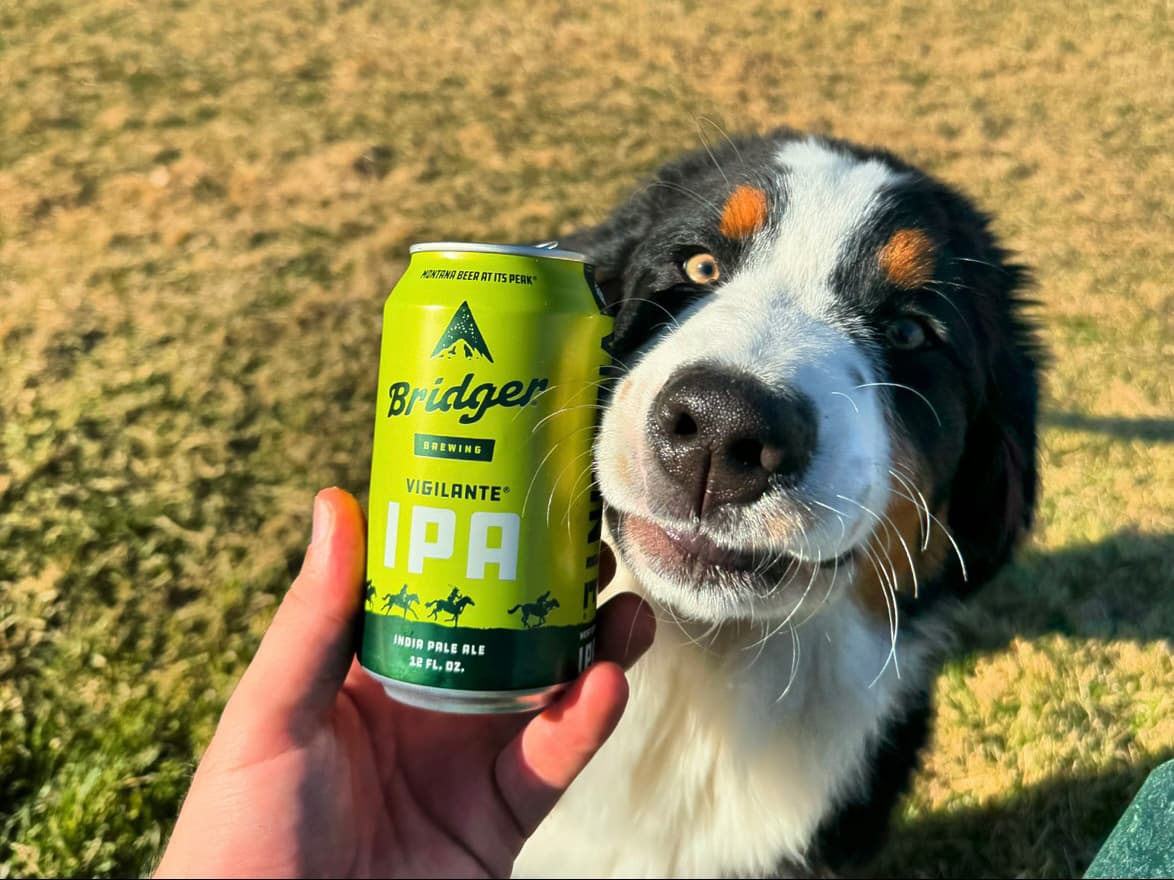 So, Your Core IPA Isn’t Meeting Expectations—Now What?