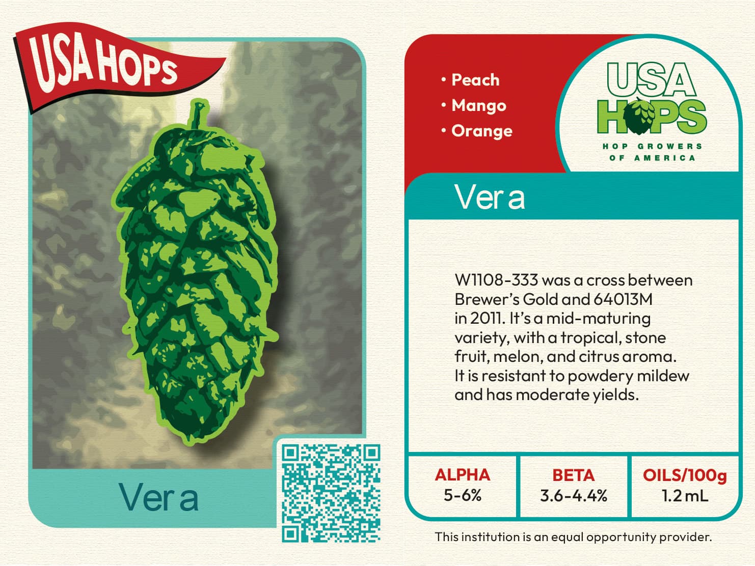 New Hops: Getting Acquainted with Vera and Thora