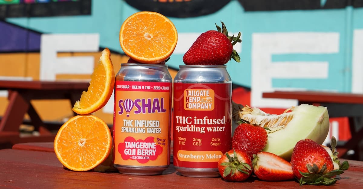The Government Reopens … and Shuts the Door on THC Beverages