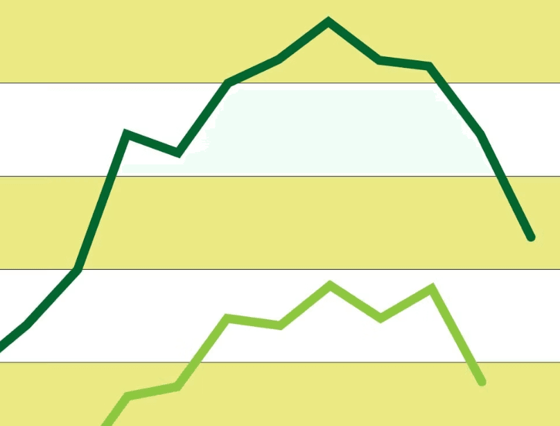 Infographic: Returning to Healthy Hops Balance