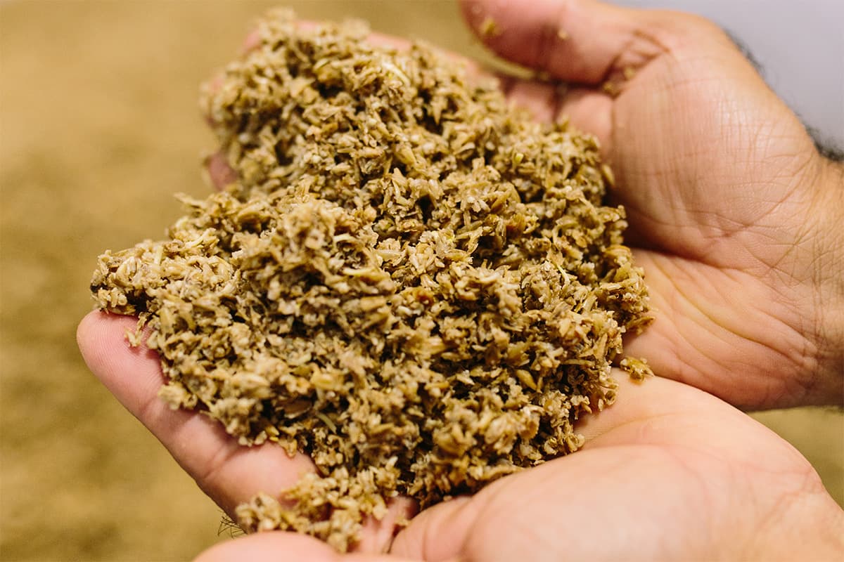 Exploring New Pathways for Spent Grain